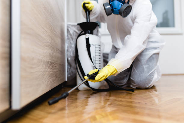  San Andreas, CA Pest Control Pros