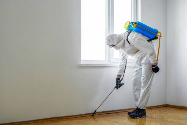 Best Commercial Pest Control Services  in San Andreas, CA