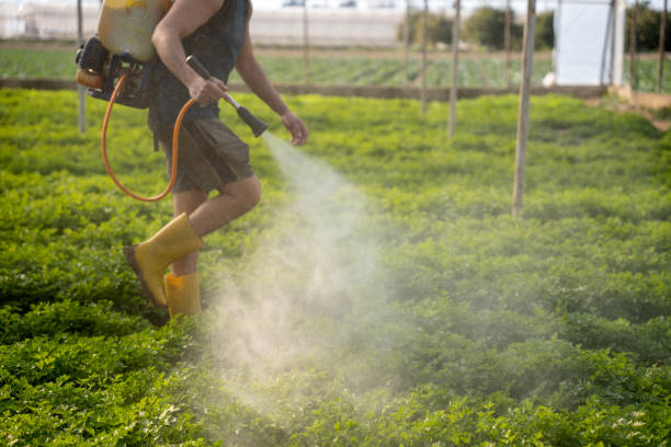 Best Wildlife Control Services  in San Andreas, CA