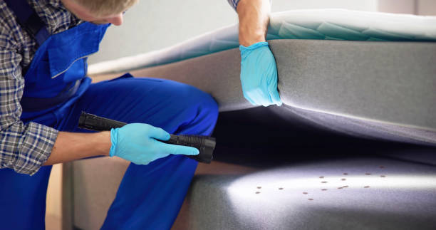 Best Bed Bug Extermination  in San Andreas, CA