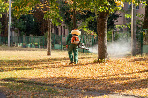Best Mosquito Control Services  in San Andreas, CA