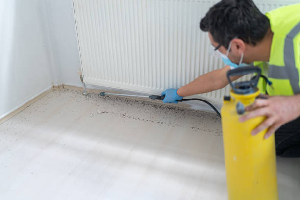 Best Emergency Pest Control  in San Andreas, CA
